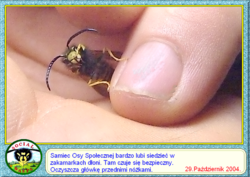 4976b11e-c85e-4a5a-80a1-35d97acefd92