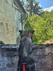 1c6c369e-562d-4ccd-8e9f-4159edfce8f1