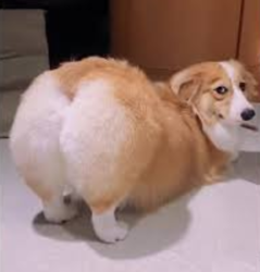 c692c186-c464-41b6-9aa5-d5a733782cdc