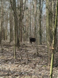 3a575535-c0bc-473f-bcb0-7415d2c83f8a