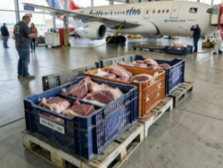 e02a687a-0152-4d04-a990-2681c5eb6375