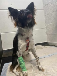 ce79ba02-c968-4fcd-823a-af9965abffb8