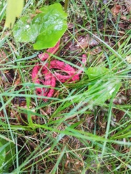 152e211b-bab0-45c9-9f83-89f2a1586645