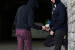 45fd7fc5-0cb0-4561-b6e3-3aa16821bd5c