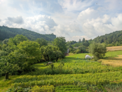 fa4395a4-3b96-4359-b486-6d5b05e7f5a5