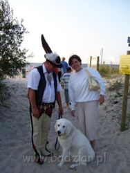 38b7023a-ed69-4cd0-95de-4fd61992c6d7