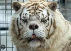 1942c63d-1298-48ff-a898-cabffa39ad1c