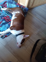 51450621-0277-4490-af1f-d32bd60910ee