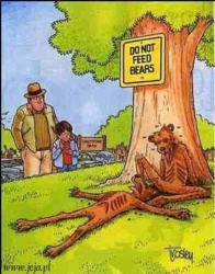 ffdce27a-4269-4450-9951-45e20117bb13