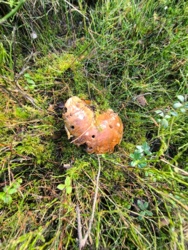 64271f3f-5225-46bb-a9d7-aa95b79aab6c