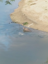 2237df3f-bb51-4509-a582-a8690c44271d