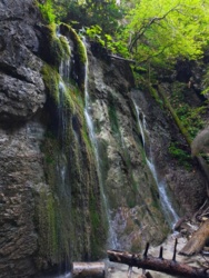 a0fe1645-4b61-42c9-8697-e58d5c20e853