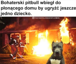 2ca83610-b0d7-456a-a3d7-760306f79c9c