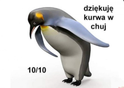 9c88a836-865d-434e-9739-dbf52801c6c7