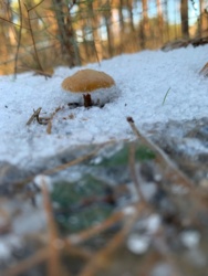 a294dbac-6343-4995-bd71-c44408a17ba2