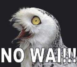 3ce5b30c-044e-49d5-b0b7-cbbc15fe4526