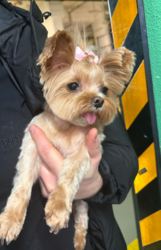 ee60533f-047d-4a31-adc8-1a31c86cf913