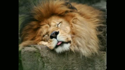 66ac4537-c212-4425-9c12-f1e18448c24c