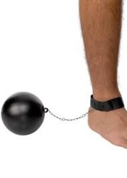 b847799d-b803-42e0-a3dd-7c0c08f7dbee