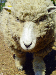 e77666da-78bd-4757-b229-5b404ca63459