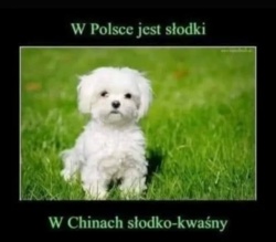 e09b9afc-9e14-4095-949a-bb3595878791