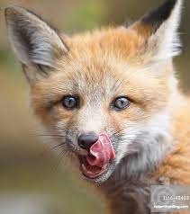 e697c1d9-2425-4279-80f0-befc832ae457