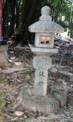 91c0a54e-c551-4e51-a838-edfd6ed82575