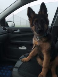 2ceba47a-714c-4cb3-8c1c-6e26ce276779