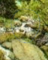 787ffbb4-e7fa-427c-9f5d-75da63db6c00