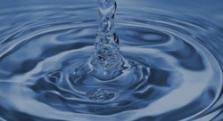 28af23eb-95d5-4ec5-8fd0-d261bfff14c2