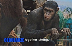 16c2ce45-0eb4-4f5a-88e8-32deb075619d