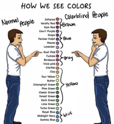 e3f94615-c156-4fb5-b5d8-20eaf1c70ae9