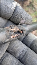 c52f21db-1f4b-43d3-99b2-8d20dc0b6cc6