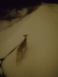 a3019ea7-2942-4b5d-b1bc-86330a8ea478