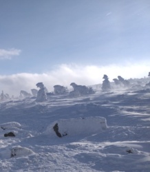 fe5e5d09-3780-4cc1-9892-b871187b869a