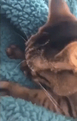 9b757319-3c59-4aca-89c3-a28bdc7aca4a