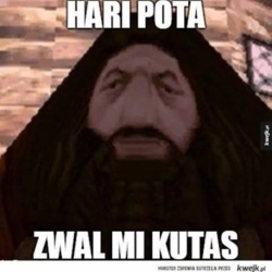 14415b1c-5985-464e-b86c-5839dc986c0e