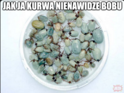 95b0e0b1-8cdf-49bb-9abd-6a2f27ad506f