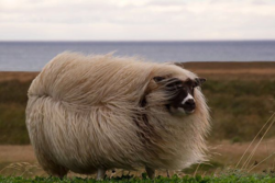 d264e5f9-7567-468c-b7a1-c408b1b0e2a4