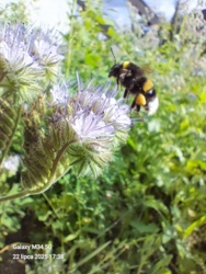 c5e92f79-befb-4bd7-a266-efa3724800f2