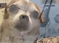 f7b6e0cf-8778-463d-8f12-c462ce803121