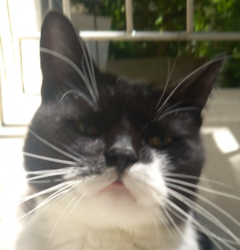 7da58648-5958-4a76-9e6a-f6d8d1149ccc