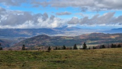 020fb960-e264-4705-a9ef-5653f12551c4