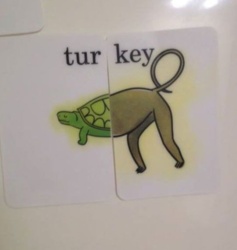 ab223b38-0f54-4fa2-9d5a-7bec27d3a467