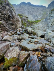 7d392ad1-3f8e-4870-8d04-37ce3d7d3bf9