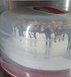 ba878b1e-c5b2-41aa-b76f-dbca8ed15ff9