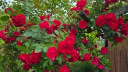 edbc064e-eb32-4c56-80cb-cf5db8ff3fb9