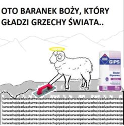 fca9ce46-3d07-47b9-a789-3824fc9c9237