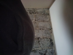 5a3a23f9-a025-4795-a933-818e05ce6d1d