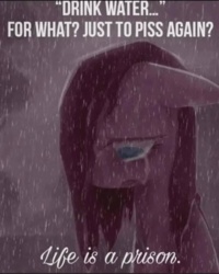 014d684b-7005-4977-a508-7dc33eefbaf1